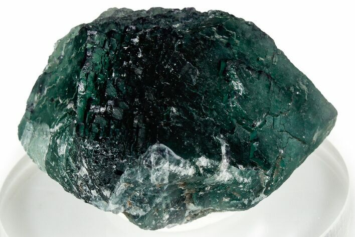 Green Stepped Fluorite Crystal w/ Purple Edges - Okorusu Mine #326552